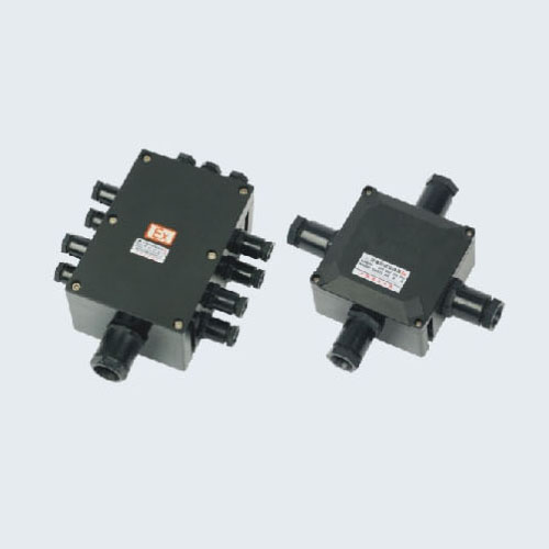 BJX8030系列防爆防腐接線箱€