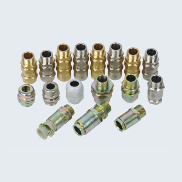 BDM系列電纜夾緊密封接頭( II、e)